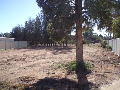 What A Find!! Picture