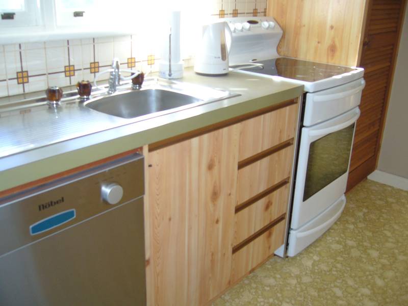 Great Starter Picture 3