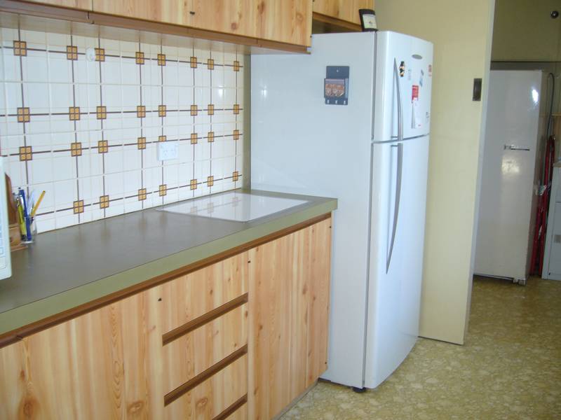 Great Starter Picture 2