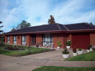 Presentation / Position / Price Picture