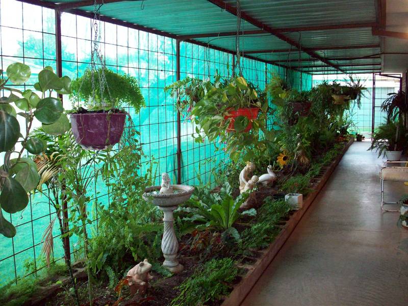 Presentation / Position / Price Picture 3