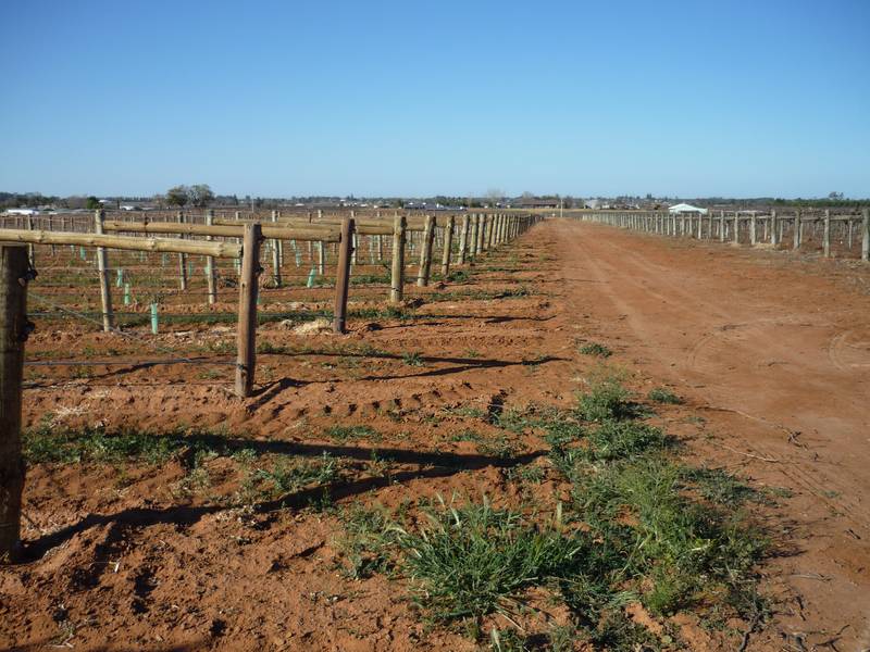 Pump On River Picture 1