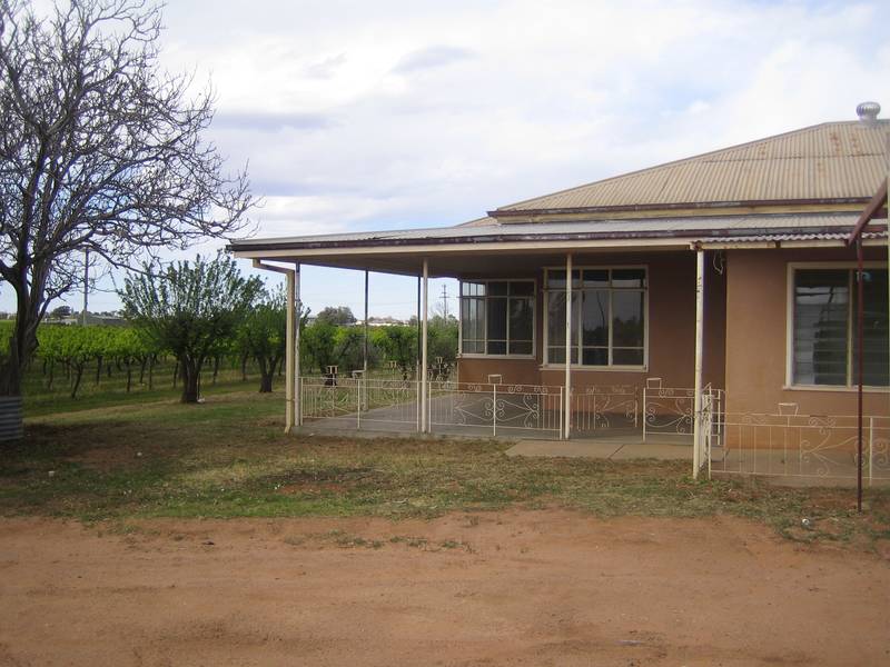 19.75 Acres, House & Sheds Picture 3