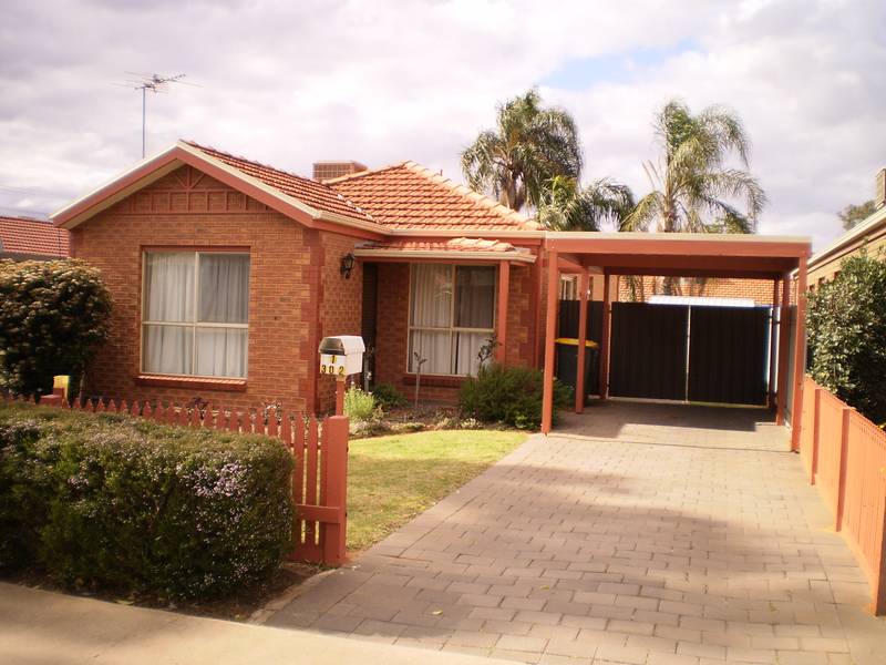 Perfect Little Starter Picture 1