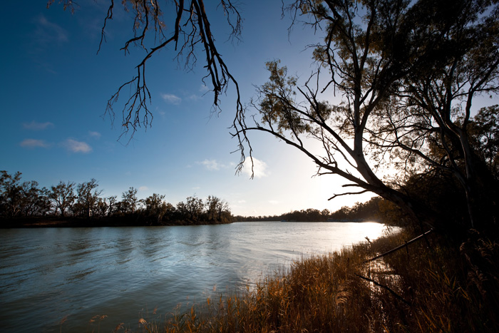 River Road Caravan Park Picture 3