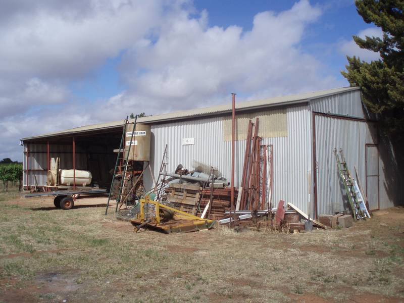 Hobby Farm Vineyard 9 1/4 Acres Picture 3