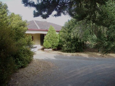 Hobby Farm Vineyard 9 1/4 Acres Picture