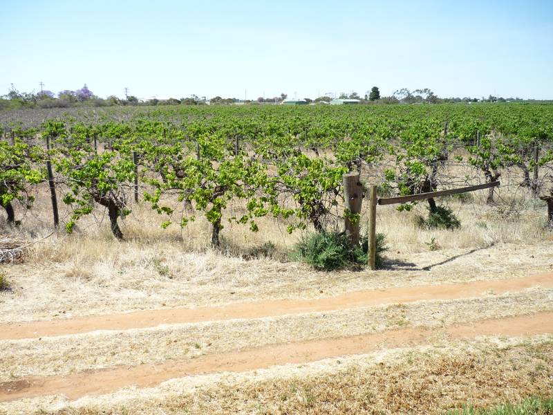 Solid Home On 18 Acres Picture 3