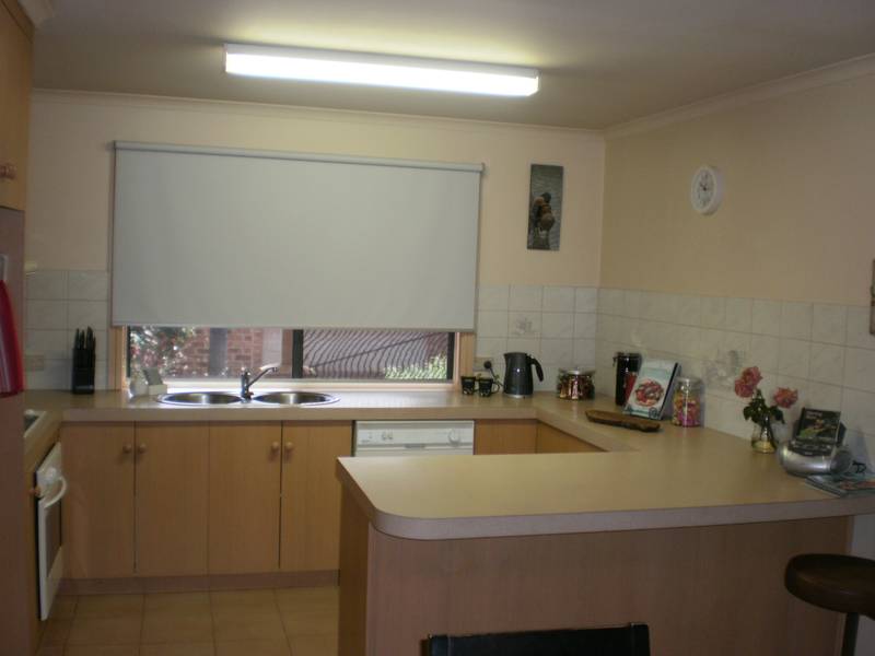 Look No Further Picture 2