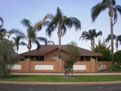 Look No Further Picture