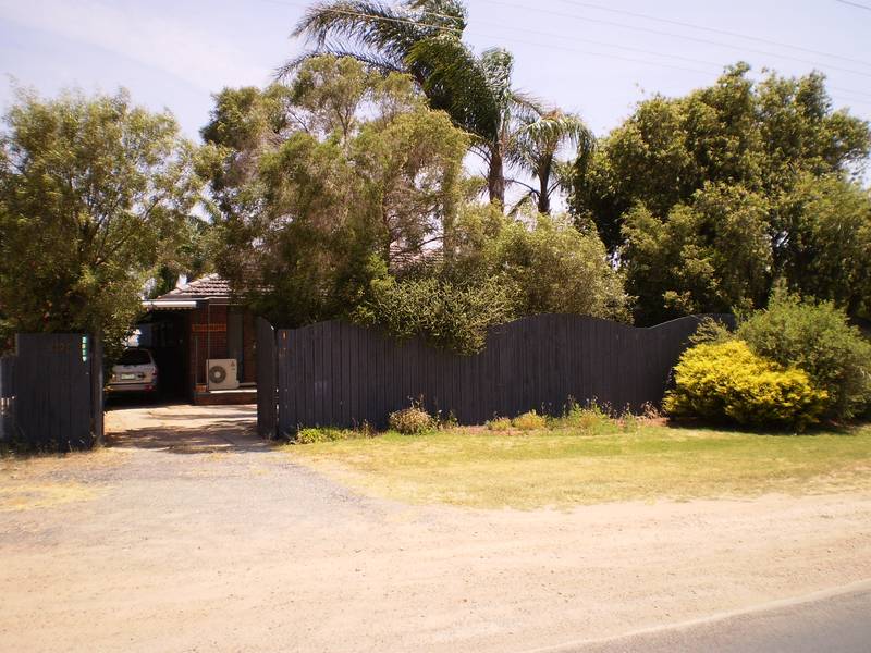 A Tropical Paradise Picture 1