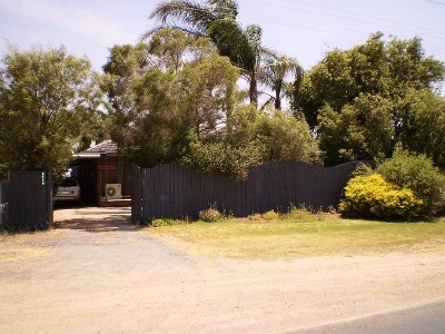 A Tropical Paradise Picture