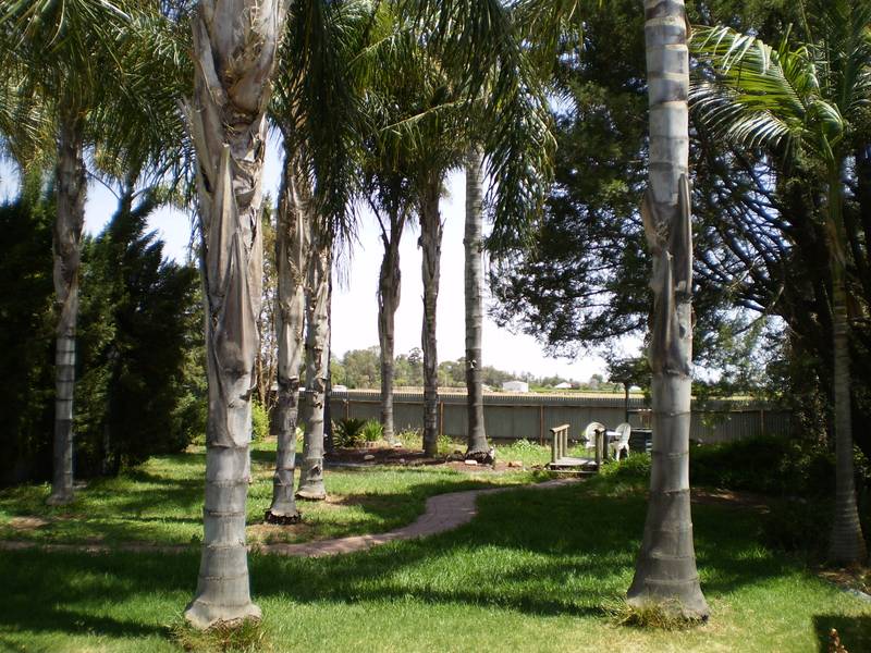 A Tropical Paradise Picture 3