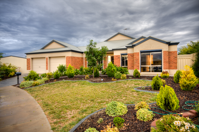 Big - Bold & Beautiful Picture 1