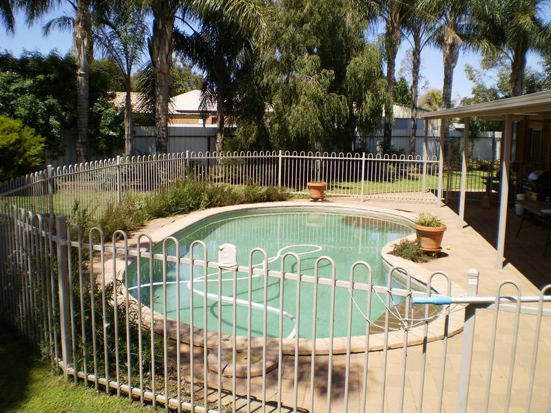 Summer Lovin! Picture 3