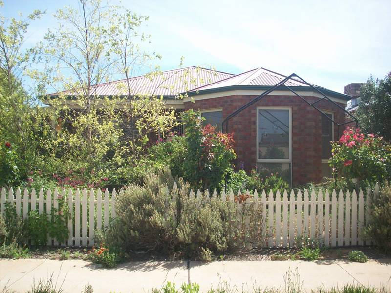 WOW! WHAT MORE DO YOU NEED?! Picture 1