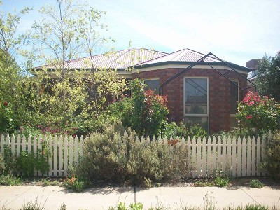 WOW! WHAT MORE DO YOU NEED?! Picture