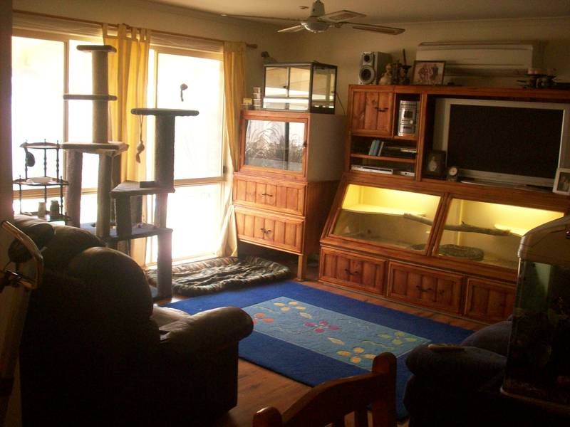 WOW! WHAT MORE DO YOU NEED?! Picture 3