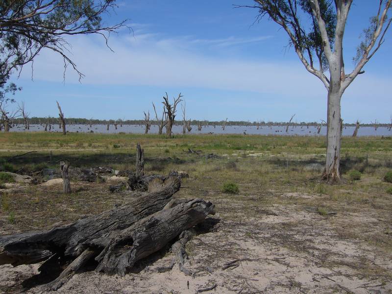 Natural Wonder / Lake Frontage Picture 3