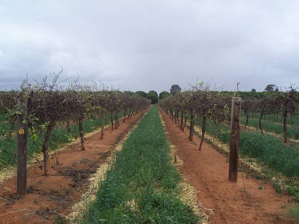 Acreage / Shed / River Nearby Picture 1