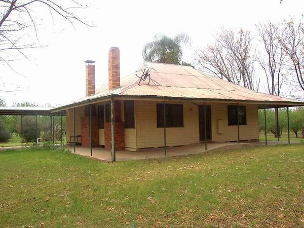 Almonds, Avocados, Chardonnay Picture 2