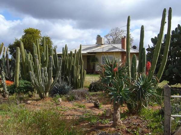 Real Value Here! Be Quick Picture 1