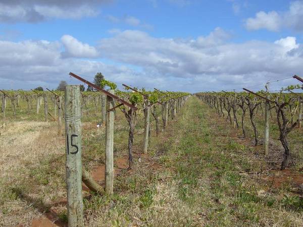 Real Value Here! Be Quick Picture 2