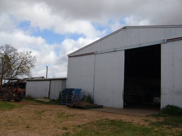 Real Value Here! Be Quick Picture 3