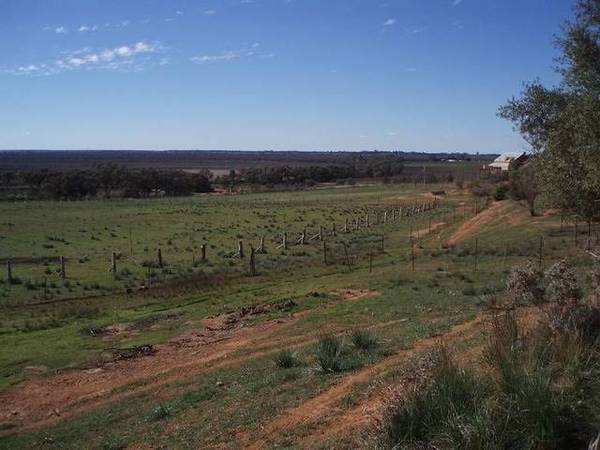 Woorlong Wetlands Picture 1