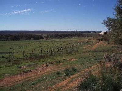 Woorlong Wetlands Picture