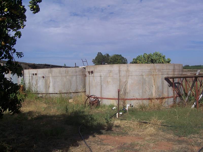 On the pathways to wineries Picture