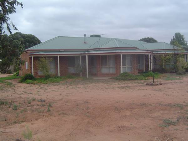 There's Big & There's Large Picture 1