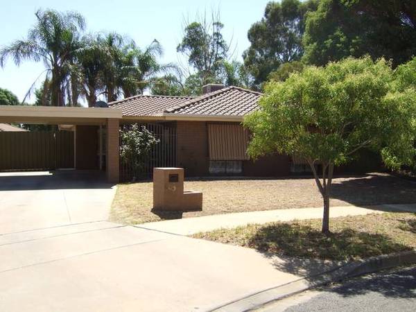 Take The Plunge Picture 1