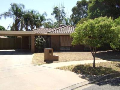 Take The Plunge Picture