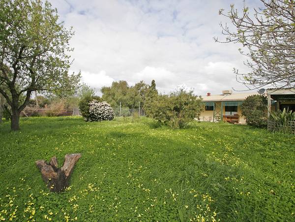 Cottage - 1.527Ha (3.8 Acres) ~ Open For Inspection Sun 5/10 12 - 1 pm Picture