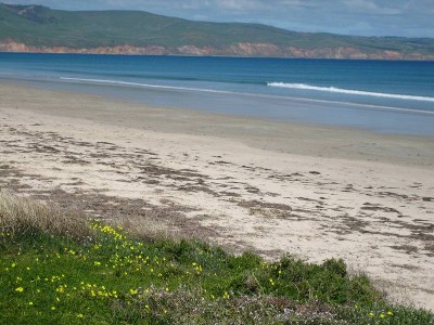 SOLD ~ by Neville Brown Picture