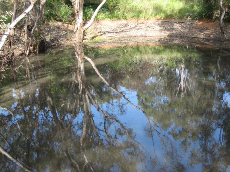 Views ~ Over 6 Acres ~ Enviable Lifestyle ~ Picture Views ~ Over 6 Acres ~ Enviable Lifestyle ~ Picture