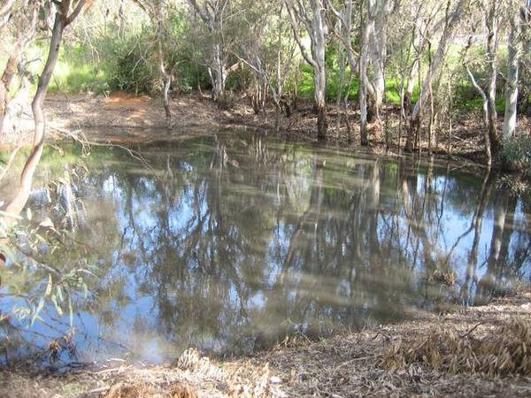 "Waybrook" Views - Over 6 Acres - Enviable Lifestyle Picture "Waybrook" Views - Over 6 Acres - Enviable Lifestyle Picture