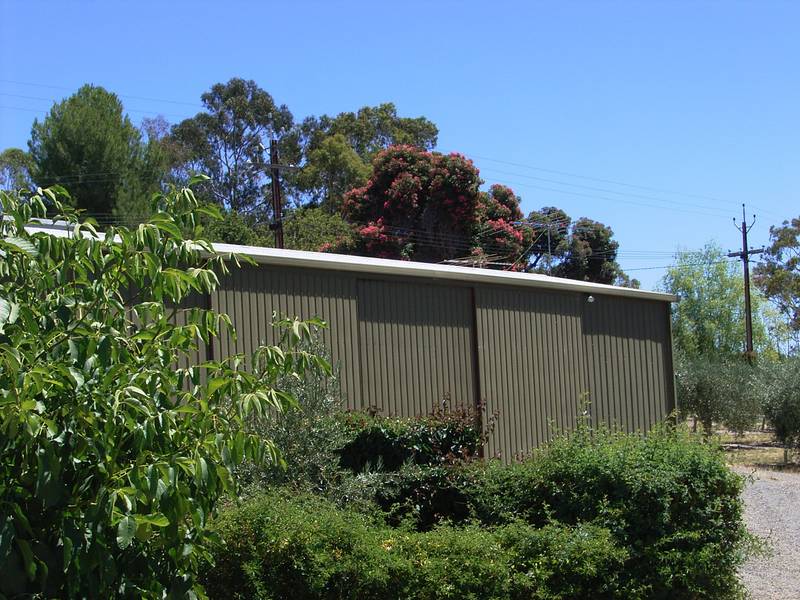 'Exodus' Olive Grove - Rural Living - Lifestyle Opportunity Picture 3