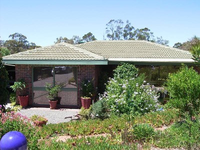 'Exodus' Olive Grove - Rural Living - Lifestyle Opportunity Picture