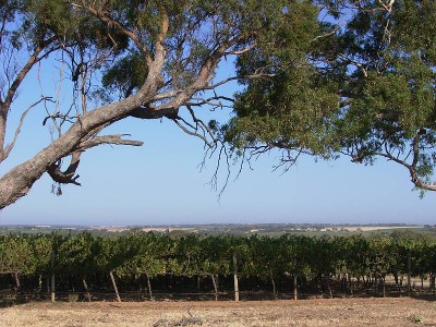 1.33Ha (3.28 Acres) ~ Rural Living Small Acre Opportunity Picture