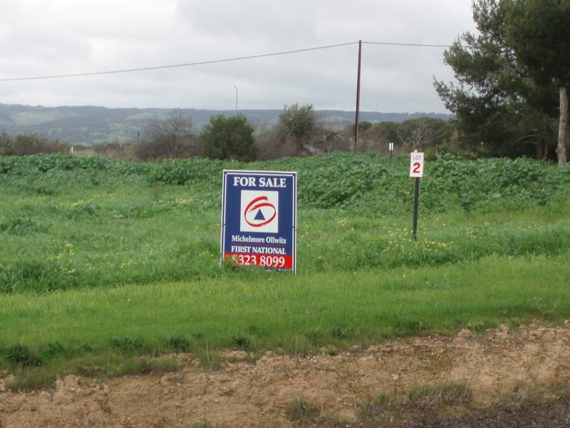 Your Choice ~ 3 Large Vacant Allotments Picture 2