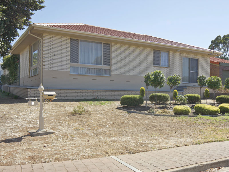 ~ SOLD by Nick van Vliet ~ Picture