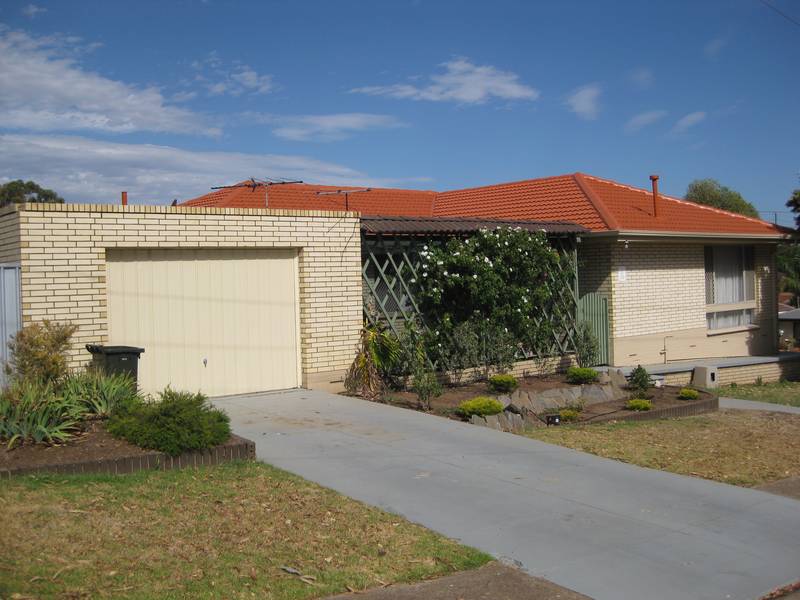 ~ SOLD by Nick van Vliet ~ Picture