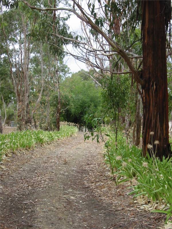 0.79 Ha (2Ac)- Country Cottage- Tranquil Bush Setting - Top Location! Picture 2