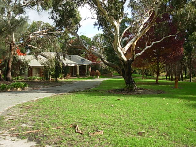 Surround Yourself With Vines Picture