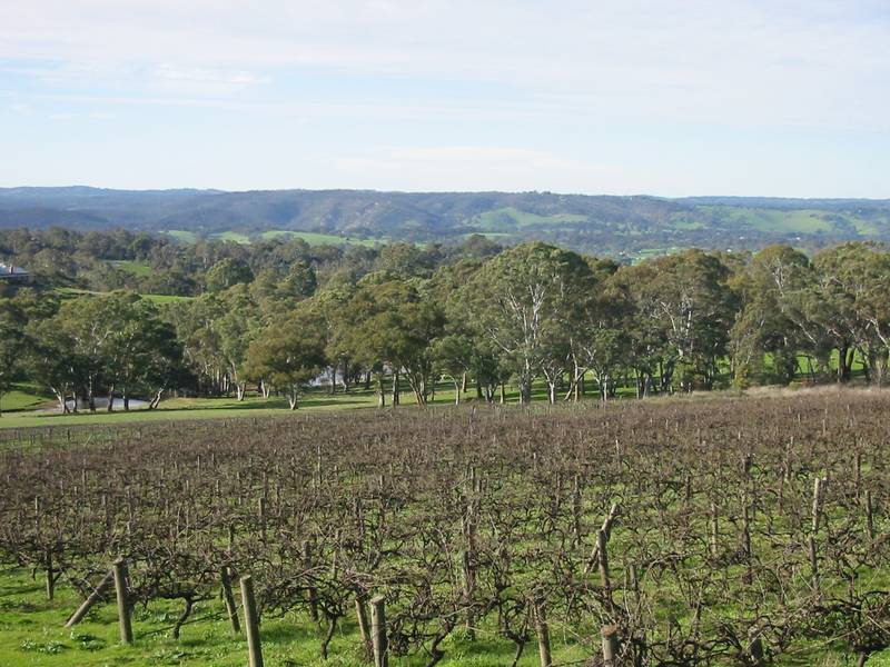 ~ Sold by Mike Stillwell ~ Picture 1