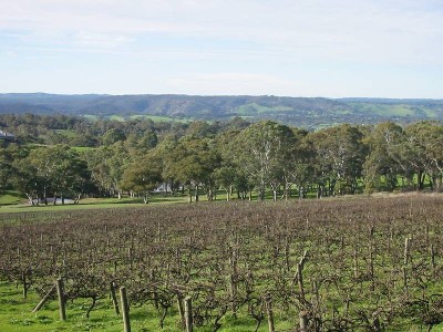 ~ Sold by Mike Stillwell ~ Picture ~ Sold by Mike Stillwell ~ Picture