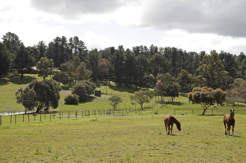 'Sandown' - 4.046 ha - 5 br home - Sheds - Bore Picture 2