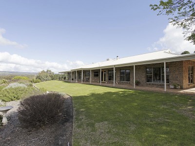 12.14 Ha - Executive Residence - Panoramic Rural/Vineyard Vista Picture